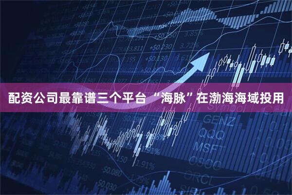 配资公司最靠谱三个平台 “海脉”在渤海海域投用