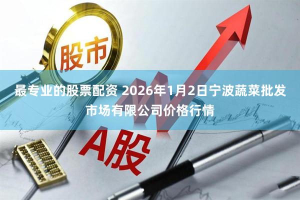 最专业的股票配资 2026年1月2日宁波蔬菜批发市场有限公司价格行情