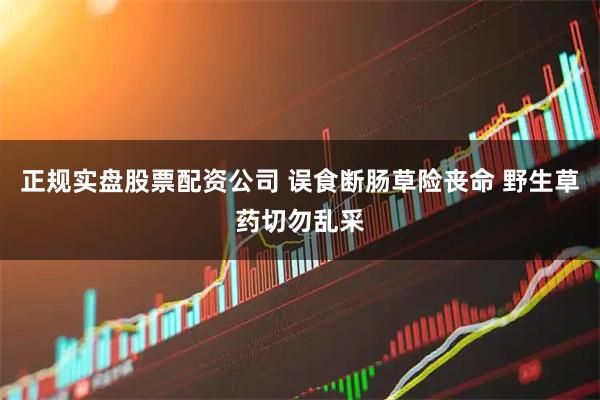 正规实盘股票配资公司 误食断肠草险丧命 野生草药切勿乱采