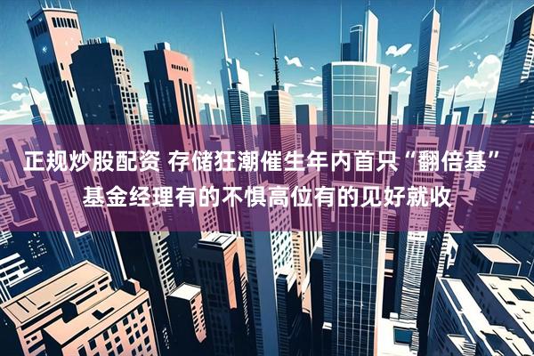 正规炒股配资 存储狂潮催生年内首只“翻倍基” 基金经理有的不惧高位有的见好就收